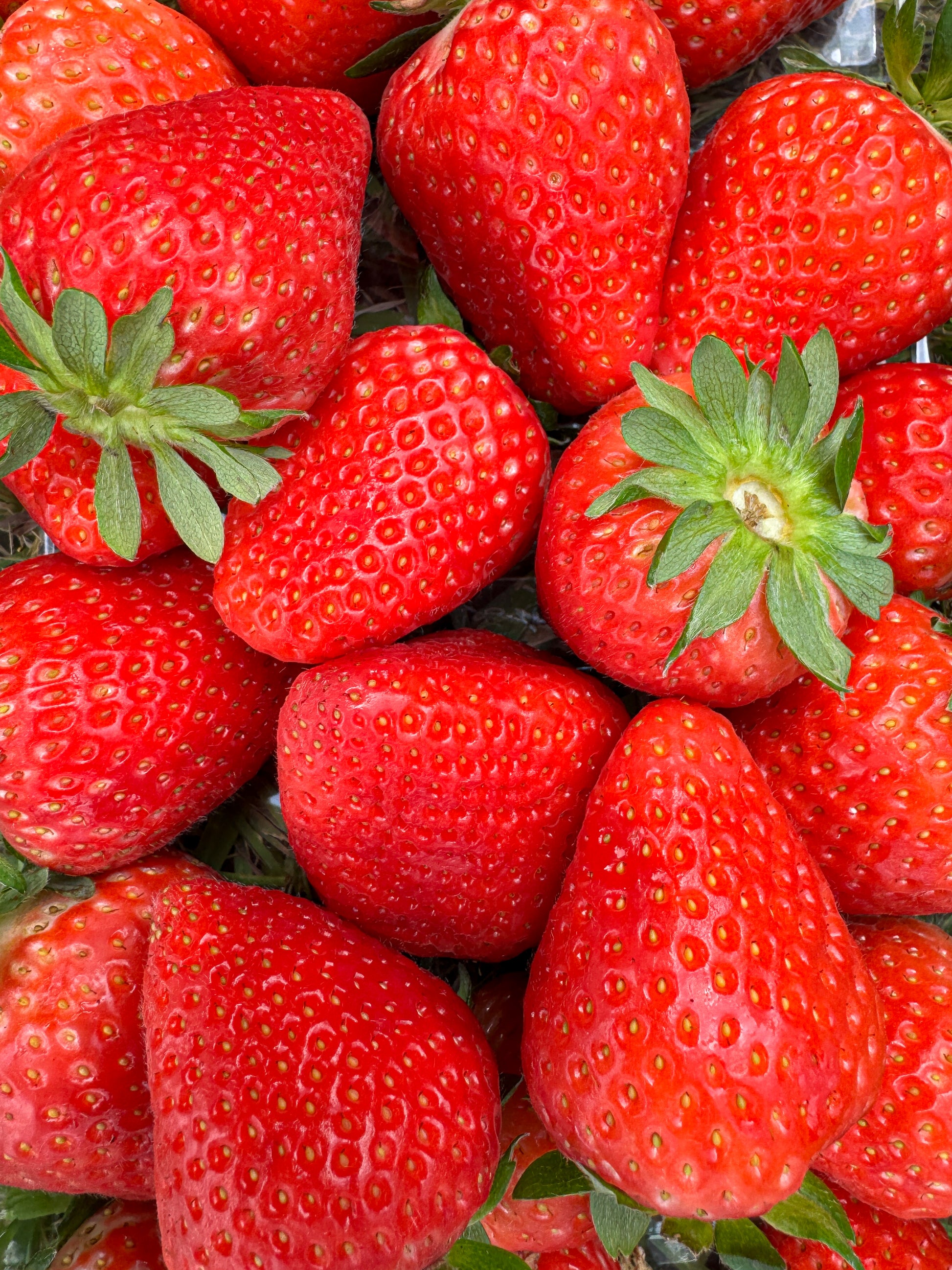 close up of strawberries with green stems